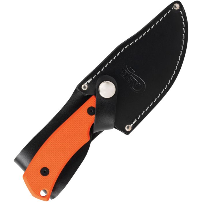 Case CT3 Skinner