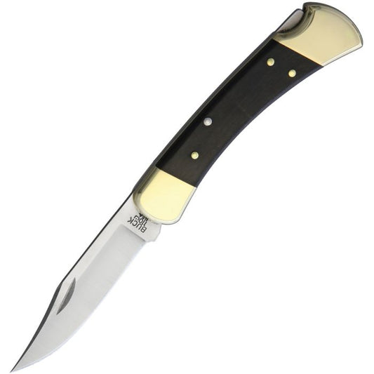 Buck 110 Hunter w/nylon sheath