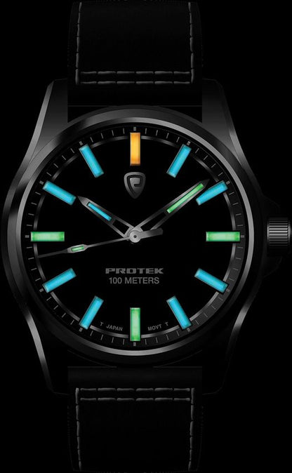 ProTek Field Watch 3002 Series