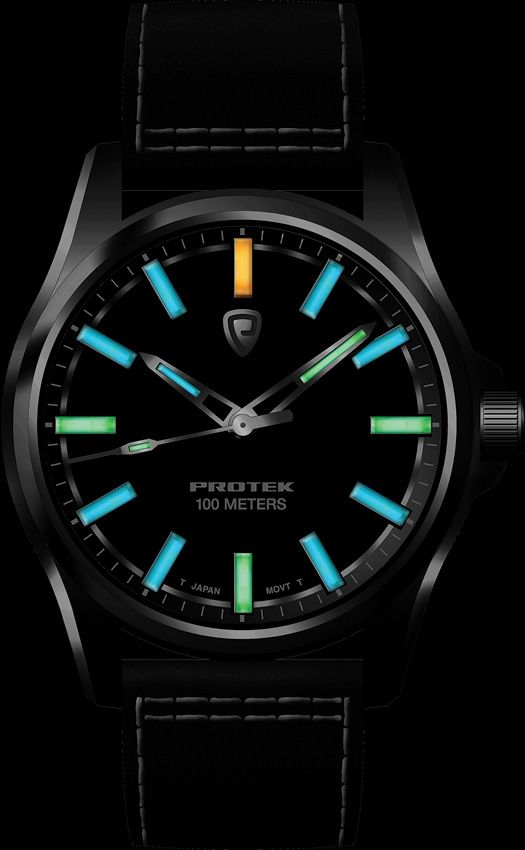 ProTek Field Watch 3002 Series